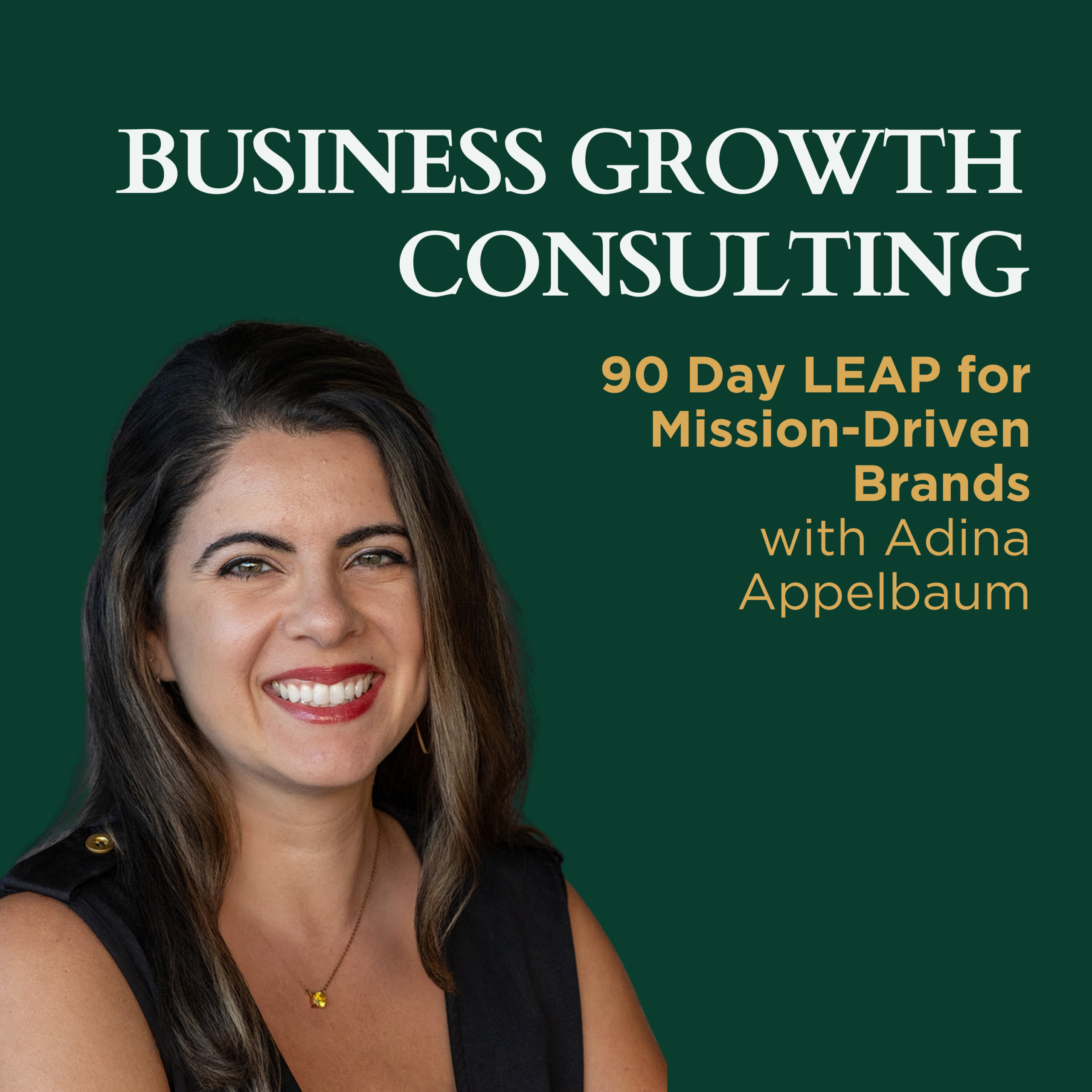 Business Growth Consulting