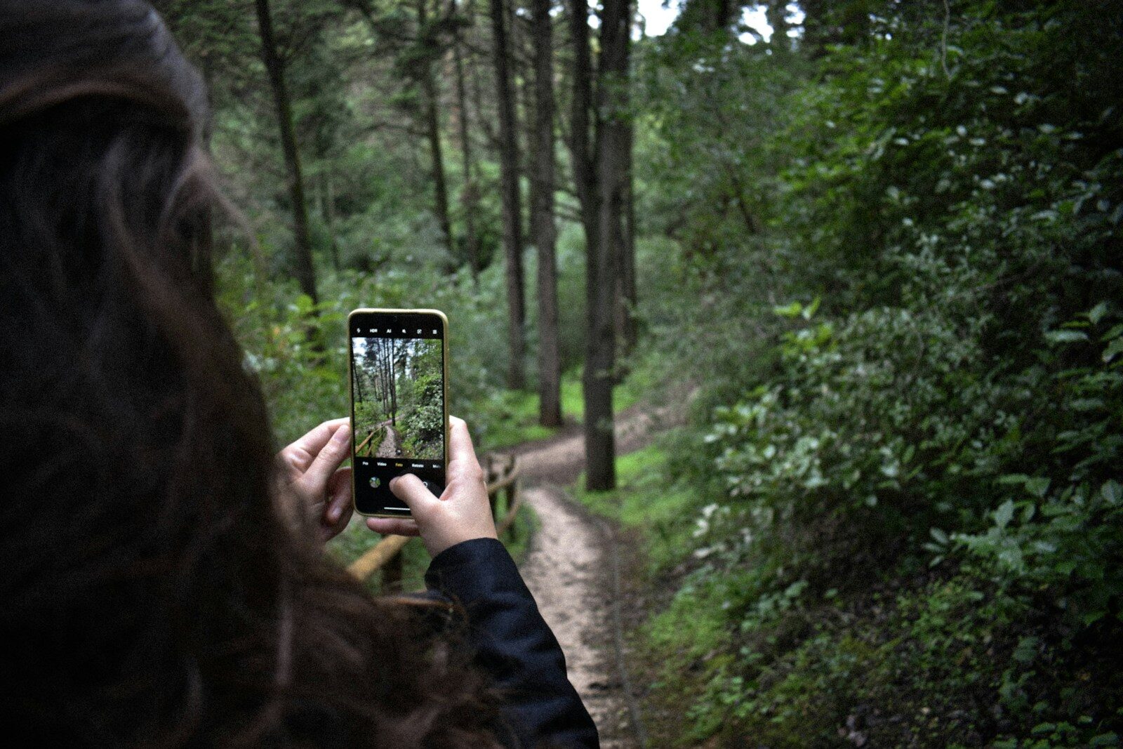 person taking photo of green trees during daytime